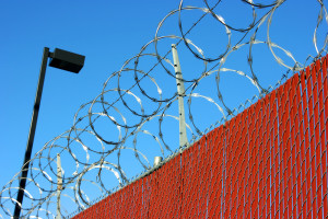 Barb wire fence